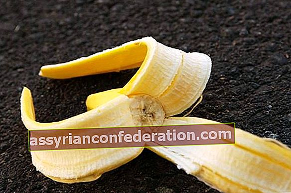 5 ประโยชน์ที่ไม่รู้จักของเปลือกกล้วย