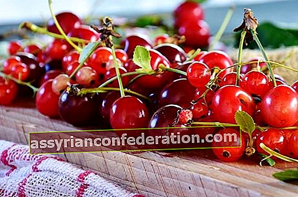 Apa Manfaat dan Bahaya Cherry Stalk?